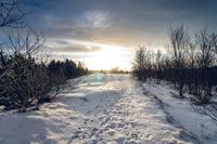 Winterlandschaft mit verschneitem Weg, kahlen Bäumen und Sonnenlicht am Horizont.