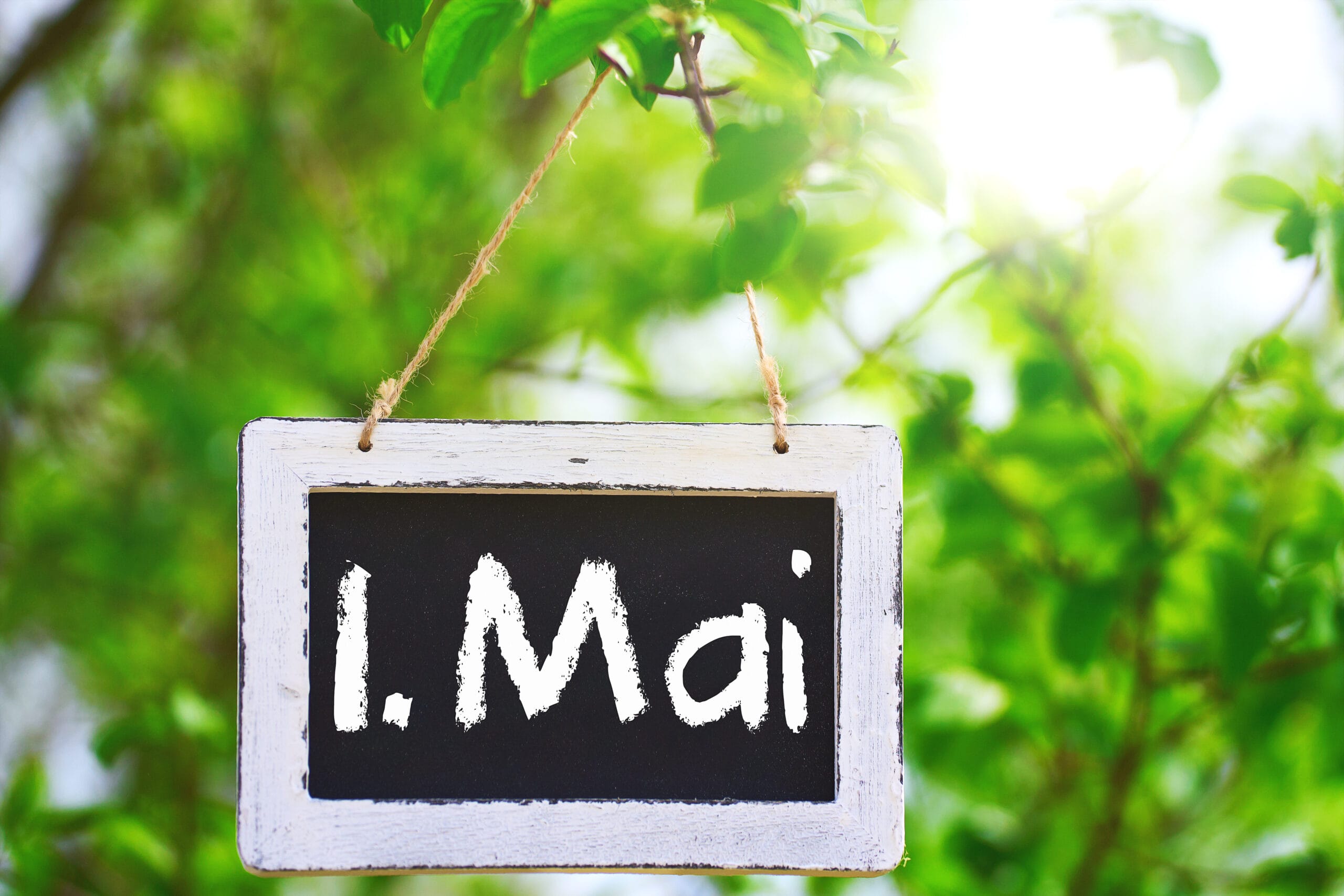 Schild in einem grünen baum bei sonnenschein mit aufschrift: 1 mai