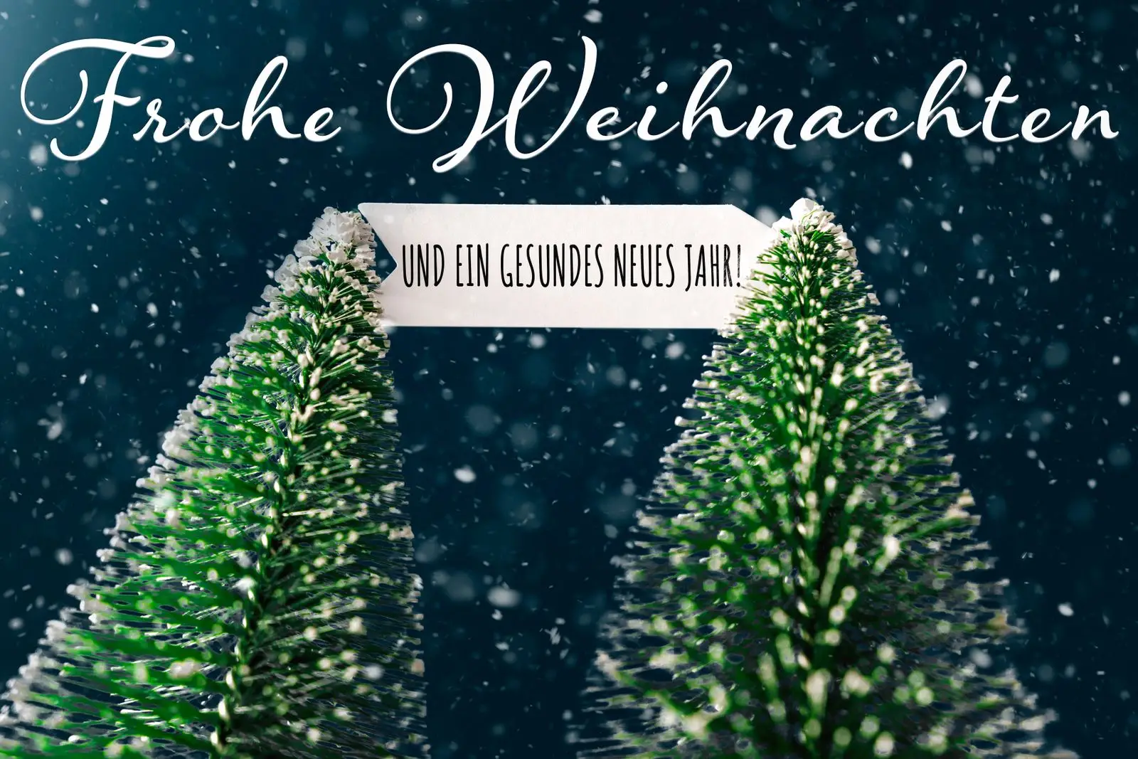 Frohe weihnachten und ein gesundes neues jahr bild