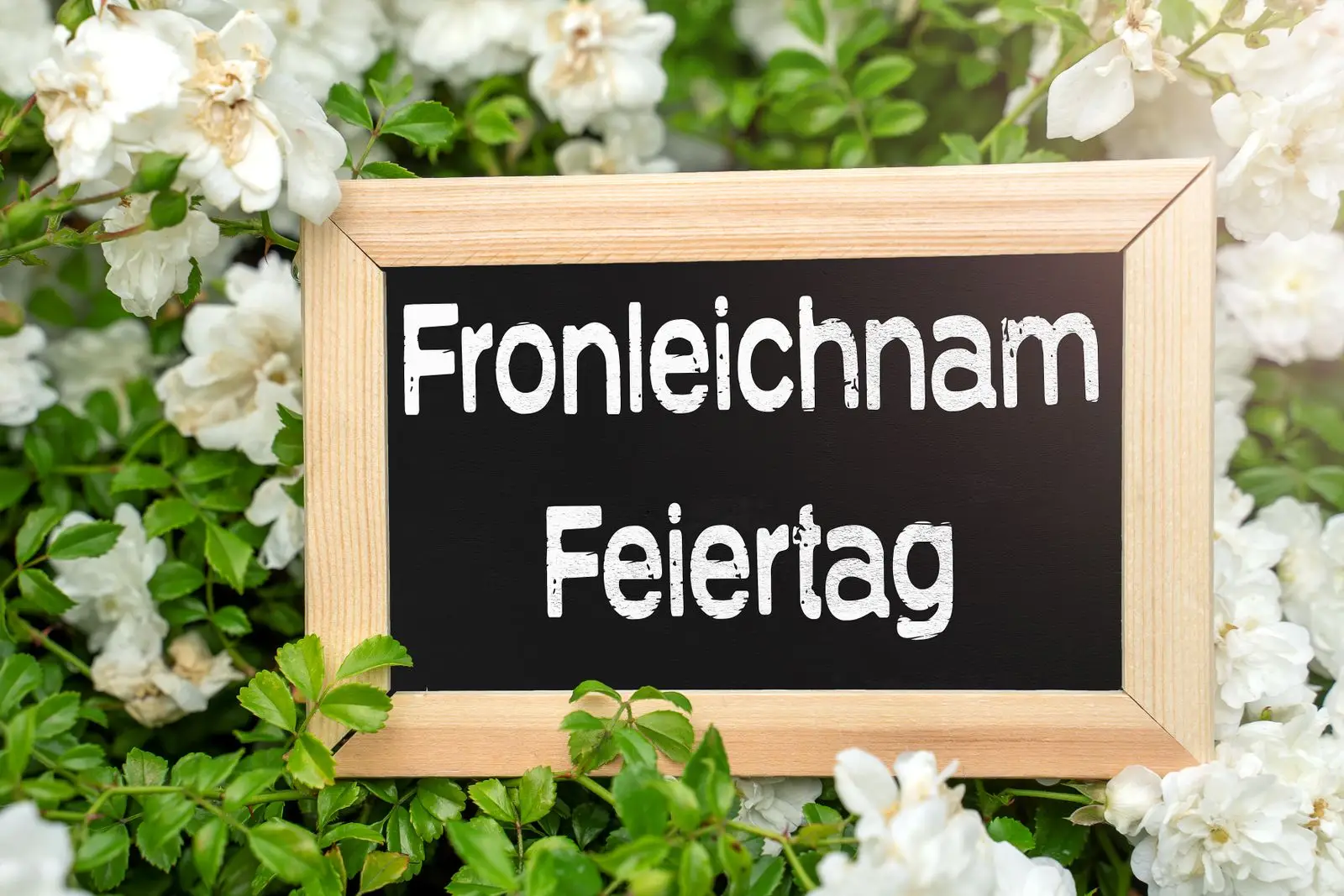 Fronleichnam feiertag schriftzug