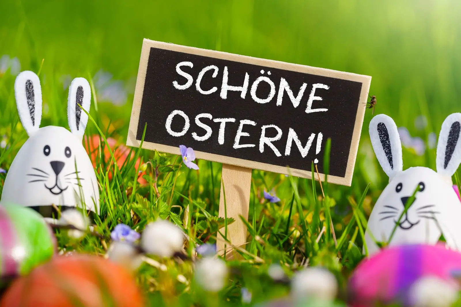Schöne ostertage, osterhasen, ostereier & tafel im gras