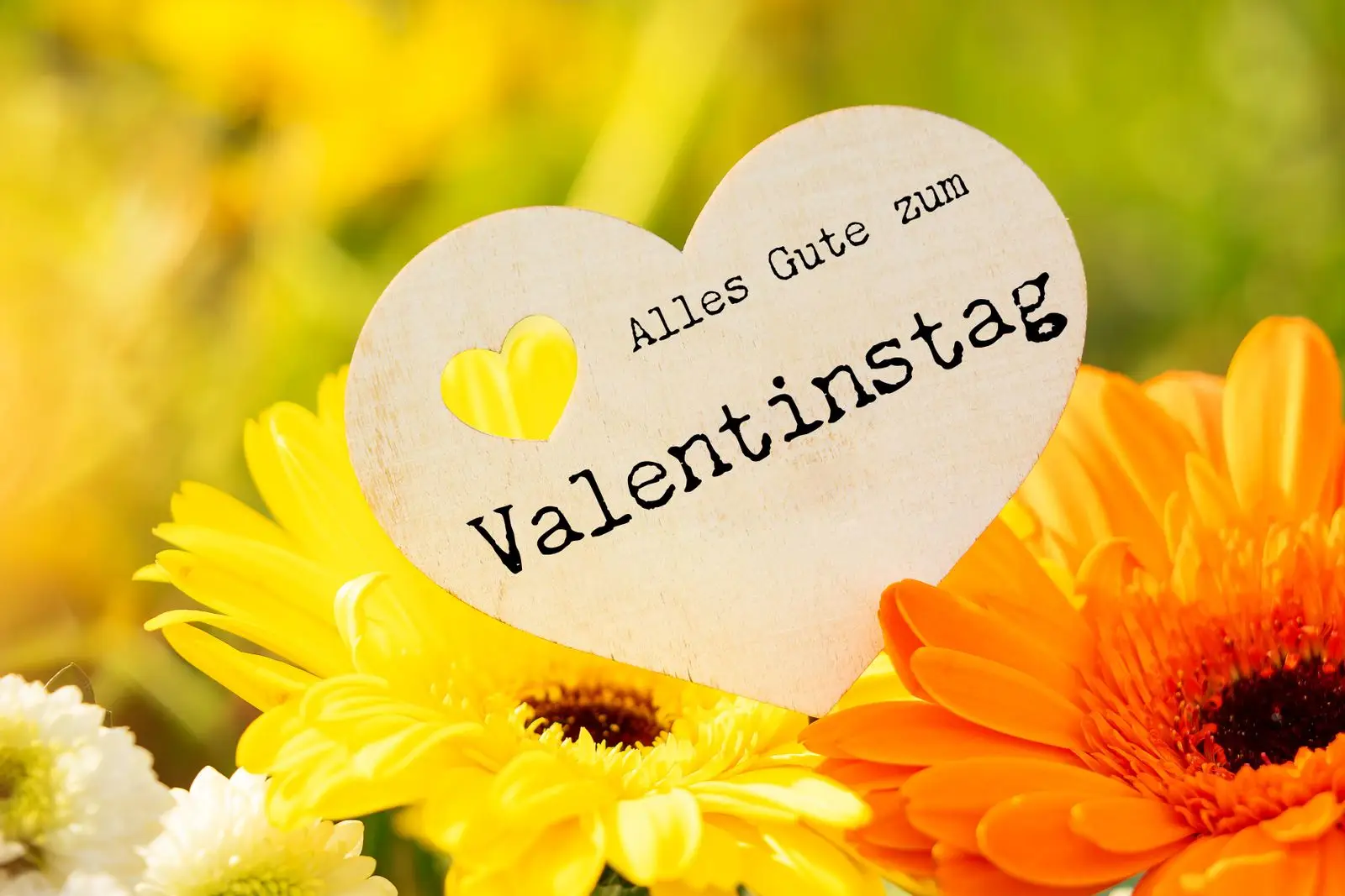 Alles gute zum valentinstag - bilder