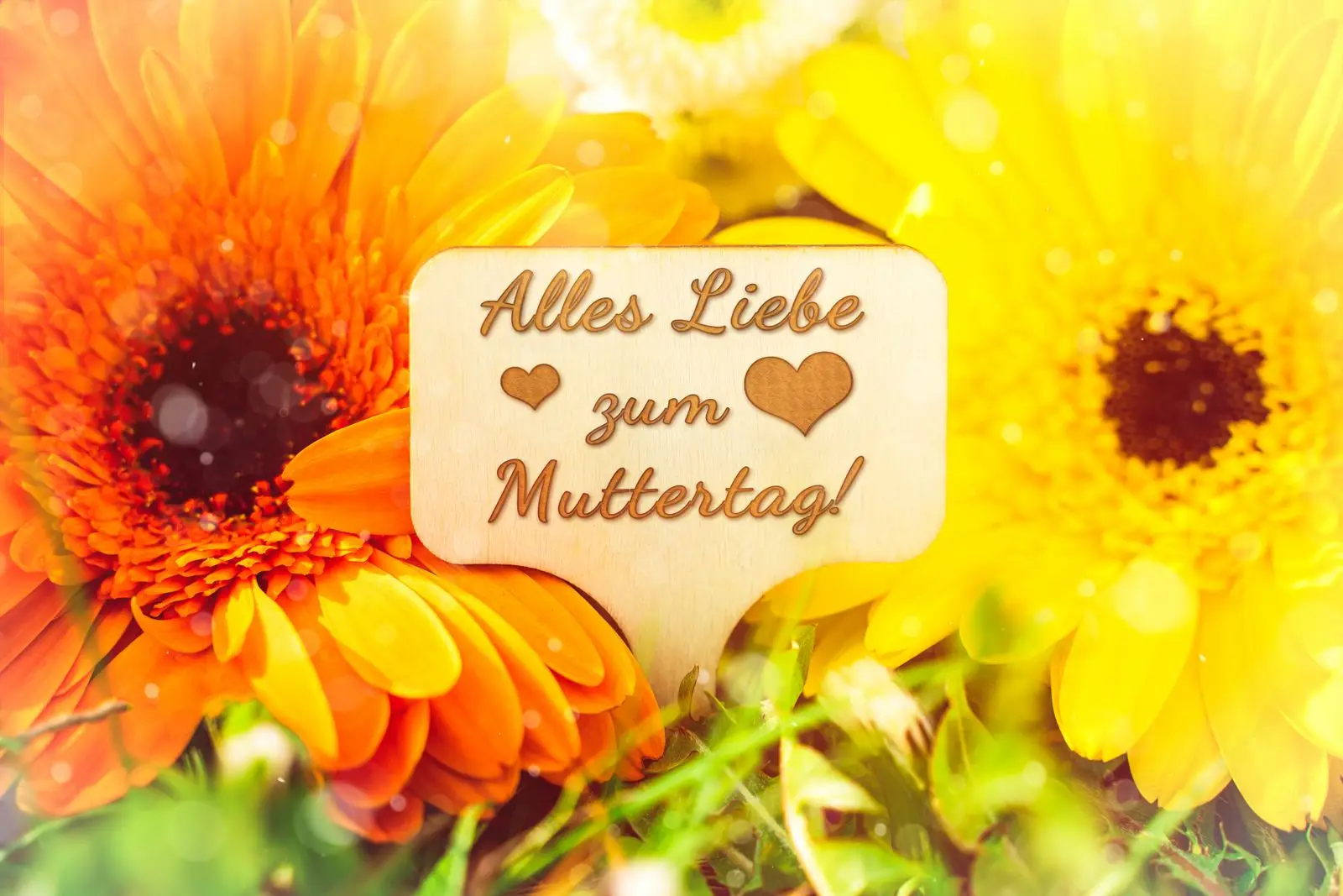 Alles liebe zum muttertag - blumen