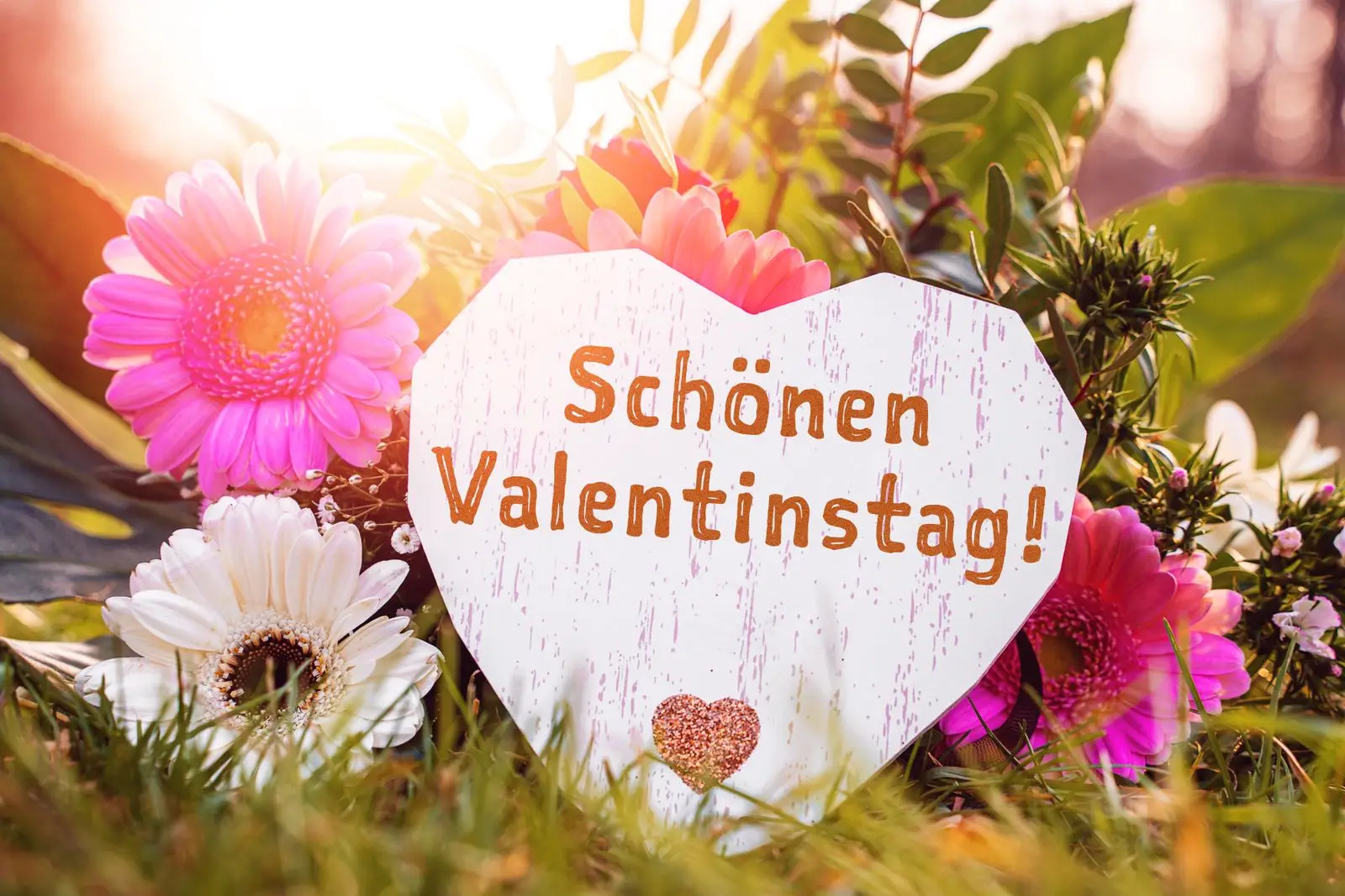 Schönen valentinstag bilder