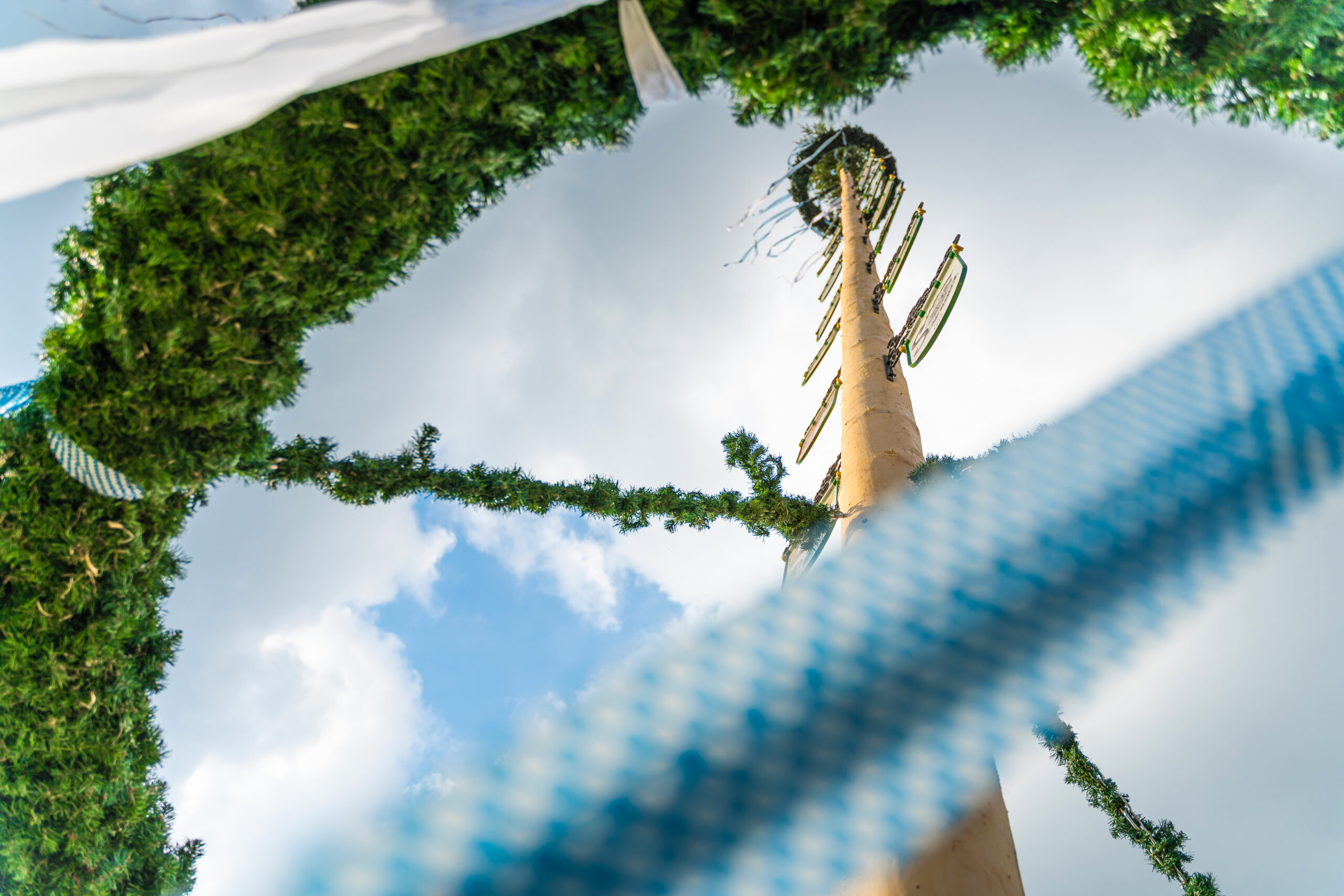 Dekorativer maibaum feierlich geschmückt, traditioneller baum der am 01 mai feiertag (tag der arbeit) aufgestellt wird